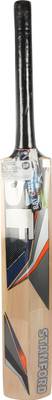 SF Power Spot No 5 Kashmir Willow Cricket  Bat