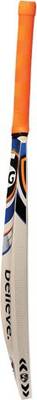 SG RSD Spark Kashmir Willow Cricket  Bat