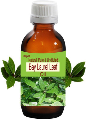 

Bangota Bay Laurel Leaf Oil - Natural, Pure & Undiluted -30 ml(30 ml)