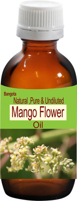 

Bangota Mango Flower Oil - Natural, Pure & Undiluted -5 ml(5 ml)