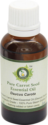 

R V Essential Pure Carrot Seed Essential Oil - Daucus Carota(50 ml)