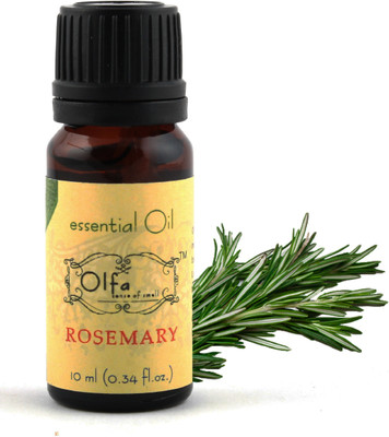 

Olfa Rosemary Essential Oil(10 ml)
