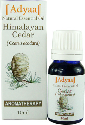 

Adyaa Naturals Himalayan Cedar Essential Oil(10 ml)