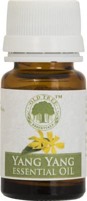 

Old Tree Yalang Yang Oil(15 ml)