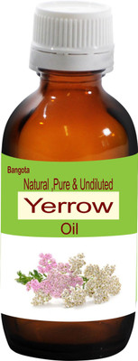 

Bangota Yarrow Oil - Natural, Pure & Undiluted -30 ml(30 ml)