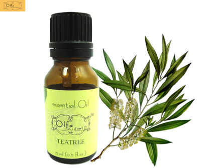 

Olfa 15ml Tea Tree Essential Oil(15 ml)