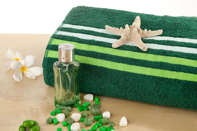 

Portico New York Cotton 550 GSM Bath Towel(Green)