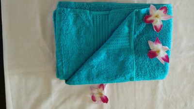 

Aims Home Cotton Terry 350 GSM Bath Towel(Light Blue)