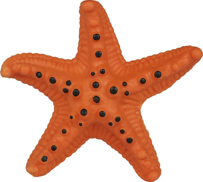 

Boing Star Fish Coloured Growing Magic Pets Bath Toy(Multicolor)