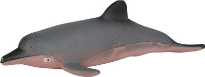 Boing Dolphin Coloured Growing Magic Pets Bath Toy(Multicolor)