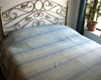 

Rhapsody Decor Cotton Single Bed Spread(Light Blue)