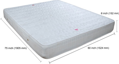 

Springwel Comfort Plus Collection 6 inch Queen Pocket Spring Mattress