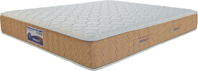 

Springfit DXPLATINUM 8 inch Queen Pocket Spring Mattress