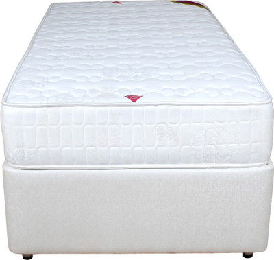 

Springwel Comfort Plus Collection 6 inch Single Pocket Spring Mattress
