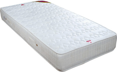 

Springwel Comfort Plus Collection 10 inch Single Pocket Spring Mattress