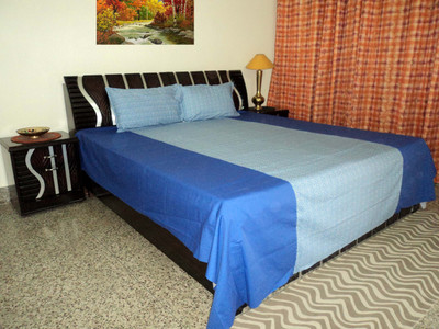 

Amita Home Furnishing Cotton Double Striped Bedsheet(Pack of 1, Blue)