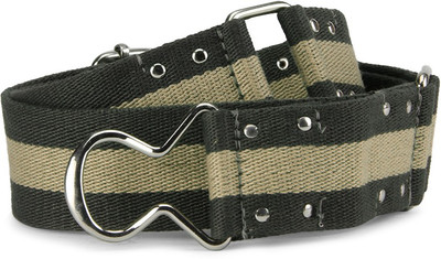 

Fastrack Women Grey, Gold Belt