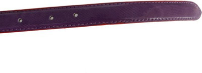 

Aam Shopping Women Casual Purple Artificial Leather Belt