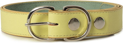 

Baggit Women Casual Yellow Synthetic Belt