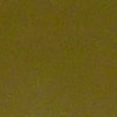

Sondagar Arts Women Formal, Casual Green Genuine Leather Belt
