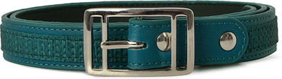 

Baggit Women Casual Blue Synthetic Belt
