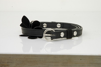 

Baggit Women Casual Black Synthetic Belt