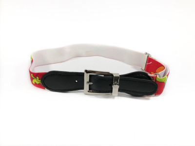 

Kidofash Boys & Girls Casual Multicolor Fabric Belt