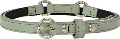 

Baggit Women Casual Green Artificial Leather Belt, Mint green