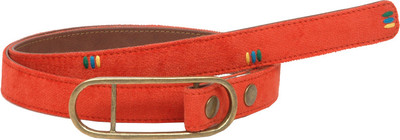 

Baggit Women Casual Orange Metal, Genuine Leather Belt