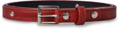 

Baggit Women Casual Red Synthetic Belt