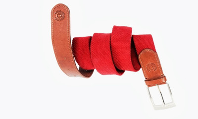 

99Cells Men Casual Red, Brown Fabric, Genuine Leather Belt