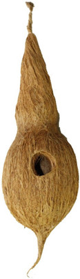 

Petshop7 Coconut Nest for Small Bird House(Hanging, Wall Mounting, Tree Mounting)