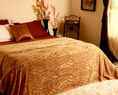 20% OFF on Zyne Plain Double Quilt, Comforter Brown(1 Quilt) 20% OFF on Zyne Plain Double Quilt, Comforter Brown(1 Quilt)