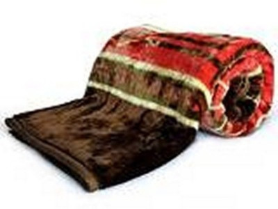 

Ruchi World Floral  Comforter(Microfiber, Multicolor