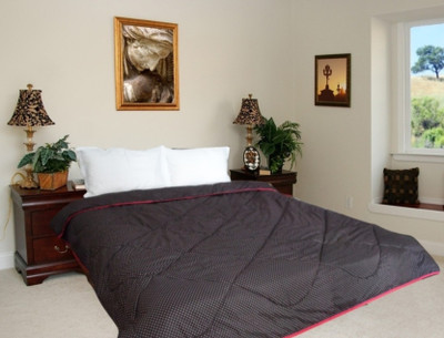Snuggle Polka  Comforter(Microfiber, Black