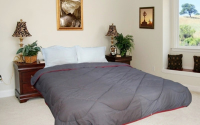 

Snuggle Polka Double Comforter(Microfiber, Grey)
