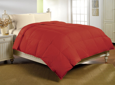 

Bliss Plain  Comforter(Microfiber, Multicolor