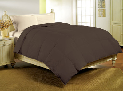 

Bliss Plain  Comforter(Microfiber, Multicolor