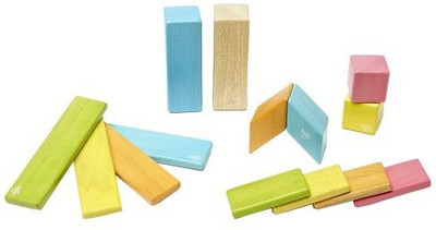 

Tegu 14 Piece Magnetic Wooden Block Set, Tints(Multicolor)