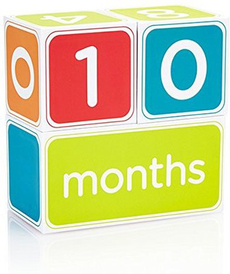 

Pearhead Baby Age Blocks, Neutral(Multicolor)