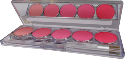 

Kiss Beauty 5 Color Long Lasting Blusher Palette-With Free Mars Eye/Lip Liner & Adbeni Hair Accessories-MTST(Multi)