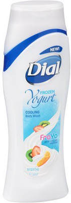 

Dial FroYo with Yogurt Protein 2 pk(480 ml, Pack of 2)