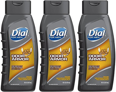 

Dial for Men Body Wash, Odor Armor, 16 Ounce (Pack of 3)(473 ml, Pack of 3)