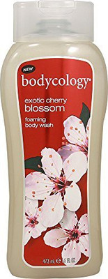 

Bodycology Foaming Cherish the Moment(480 ml)