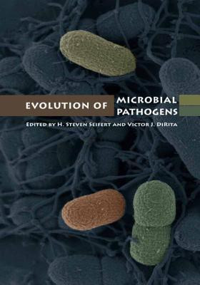 Evolution of Microbial Pathogens(English, Hardcover, Steven Seifert H Steven)
