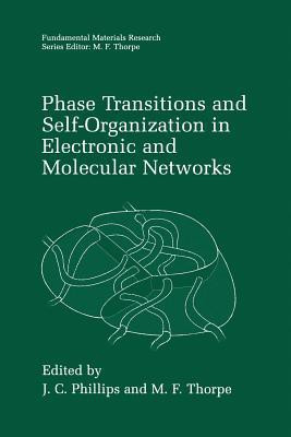 Phase Transitions and Self-Organization in Electronic and Molecular Networks(English, Paperback, unknown)