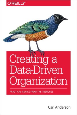 Creating a Data-Driven Organization  - Practical Advice from the Trenches(English, Paperback, Carl Anderson)