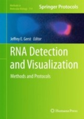 RNA Detection and Visualization 2011 Edition(English, Hardcover, unknown)