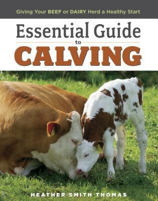 Essential Guide to Calving(English, Paperback, Smith Thomas Heather)
