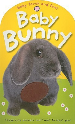 Baby Bunny(English, Board book, Priddy Roger)